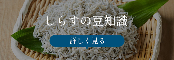 しらすの豆知識